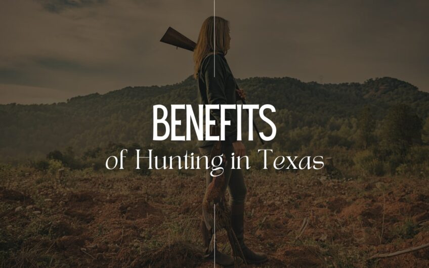 10 Best Exotic Hunting Ranches in Texas That You Must Visit in 2023